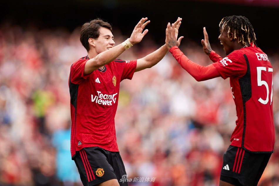 这也表明 这也表明